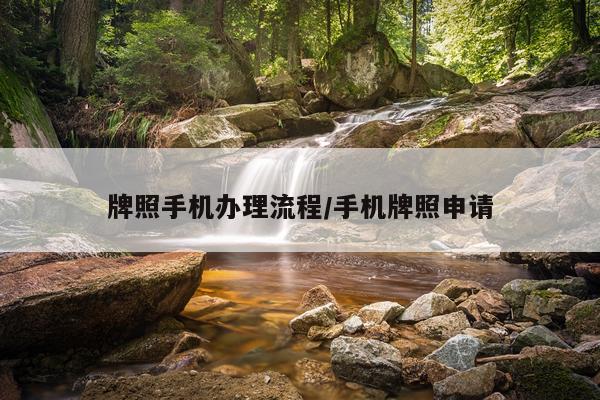 牌照手机办理流程/手机牌照申请