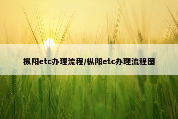 枞阳etc办理流程/枞阳etc办理流程图