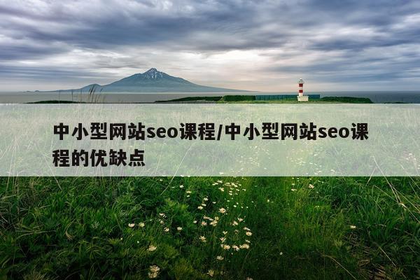 中小型网站seo课程/中小型网站seo课程的优缺点