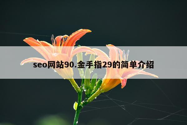 seo网站90.金手指29的简单介绍