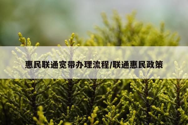 惠民联通宽带办理流程/联通惠民政策