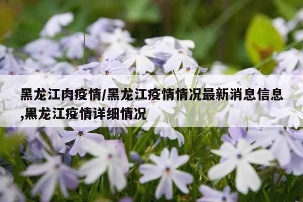黑龙江肉疫情/黑龙江疫情情况最新消息信息,黑龙江疫情详细情况