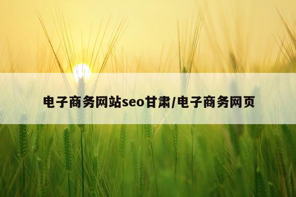 电子商务网站seo甘肃/电子商务网页