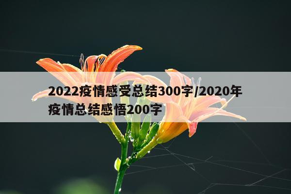 2022疫情感受总结300字/2020年疫情总结感悟200字