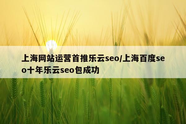 上海网站运营首推乐云seo/上海百度seo十年乐云seo包成功