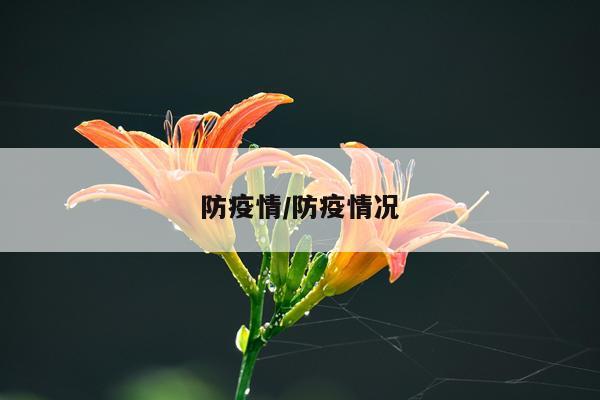 防疫情/防疫情况