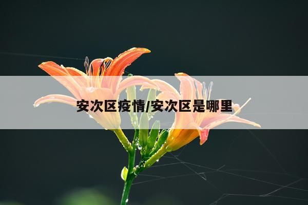 安次区疫情/安次区是哪里