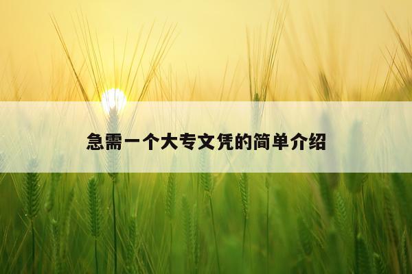 急需一个大专文凭的简单介绍