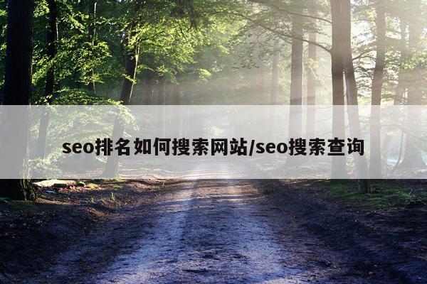 seo排名如何搜索网站/seo搜索查询
