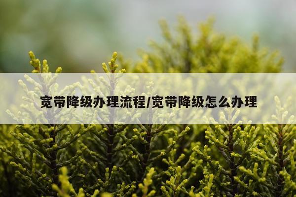 宽带降级办理流程/宽带降级怎么办理