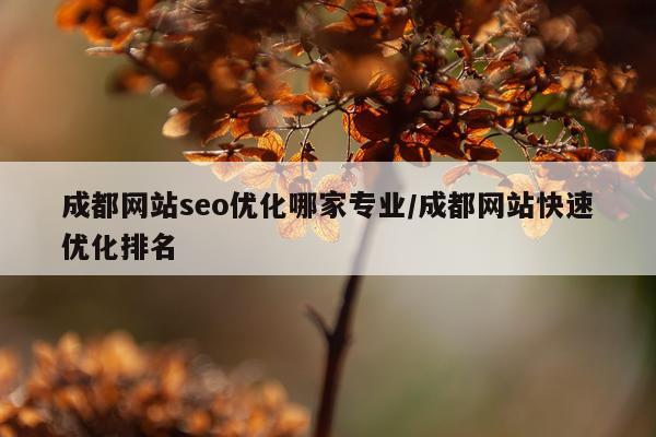 成都网站seo优化哪家专业/成都网站快速优化排名