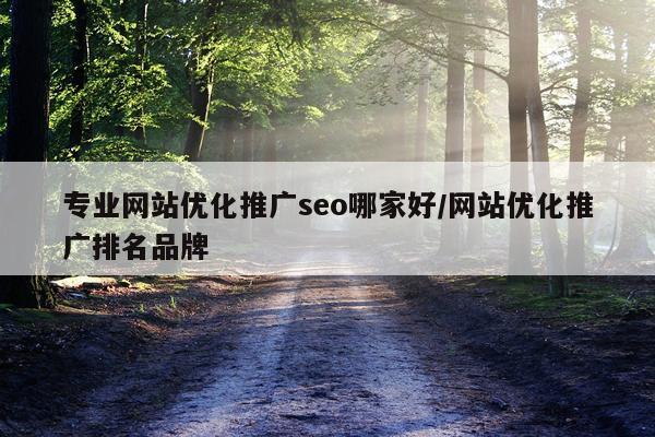 专业网站优化推广seo哪家好/网站优化推广排名品牌