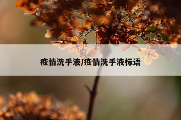 疫情洗手液/疫情洗手液标语