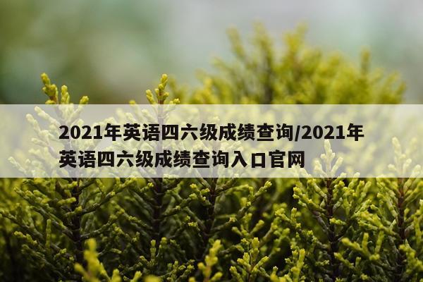 2021年英语四六级成绩查询/2021年英语四六级成绩查询入口官网