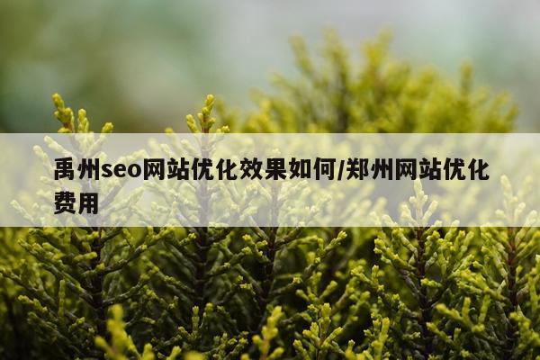 禹州seo网站优化效果如何/郑州网站优化费用