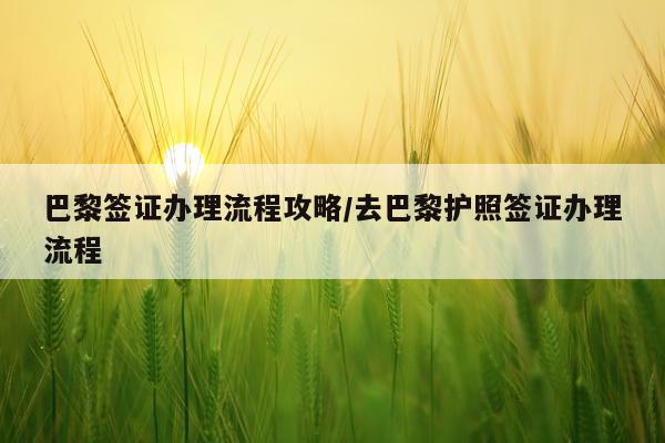 巴黎签证办理流程攻略/去巴黎护照签证办理流程