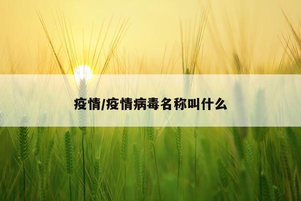 疫情/疫情病毒名称叫什么