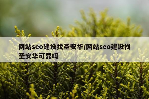 网站seo建设找圣安华/网站seo建设找圣安华可靠吗