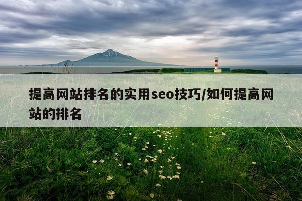 提高网站排名的实用seo技巧/如何提高网站的排名