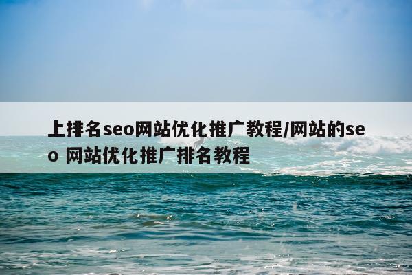 上排名seo网站优化推广教程/网站的seo 网站优化推广排名教程