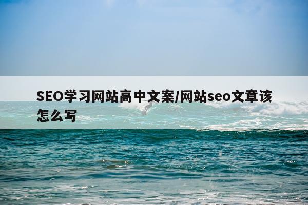 SEO学习网站高中文案/网站seo文章该怎么写