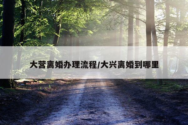大营离婚办理流程/大兴离婚到哪里