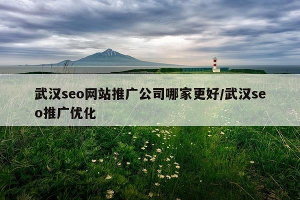 武汉seo网站推广公司哪家更好/武汉seo推广优化