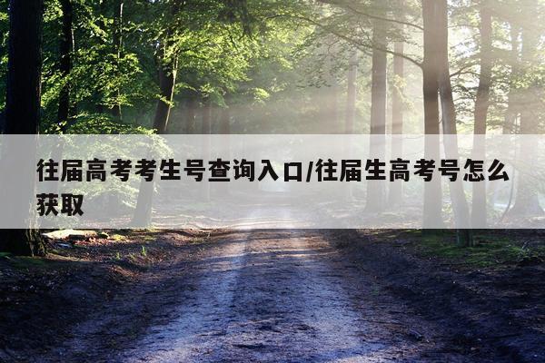 往届高考考生号查询入口/往届生高考号怎么获取