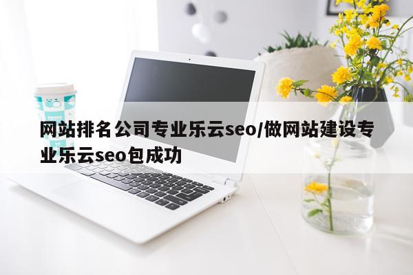 网站排名公司专业乐云seo/做网站建设专业乐云seo包成功