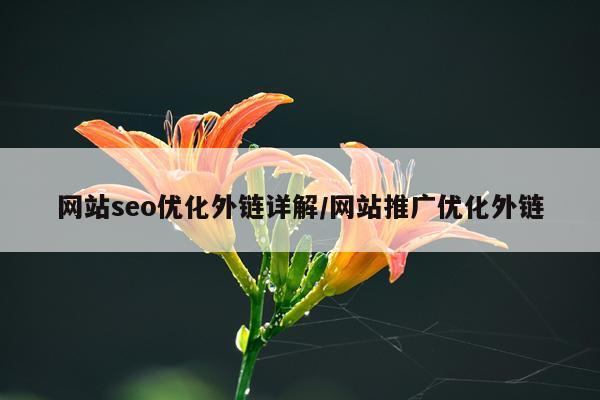 网站seo优化外链详解/网站推广优化外链