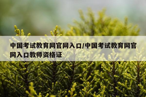 中国考试教育网官网入口/中国考试教育网官网入口教师资格证