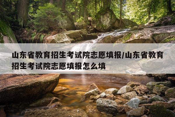 山东省教育招生考试院志愿填报/山东省教育招生考试院志愿填报怎么填