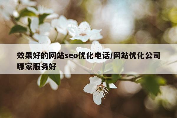 效果好的网站seo优化电话/网站优化公司哪家服务好