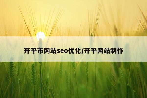 开平市网站seo优化/开平网站制作