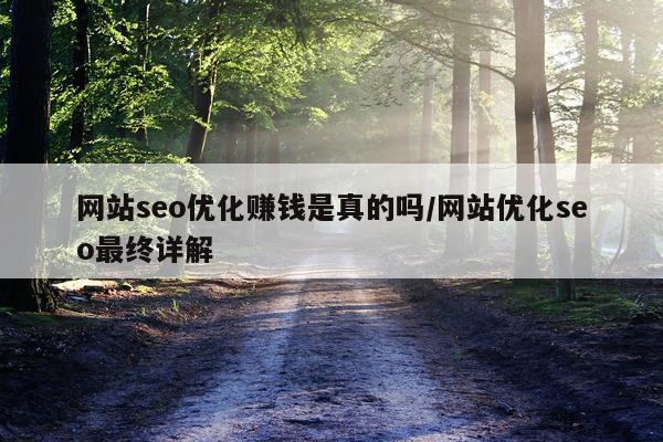 网站seo优化赚钱是真的吗/网站优化seo最终详解
