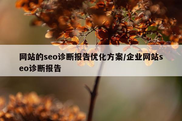 网站的seo诊断报告优化方案/企业网站seo诊断报告