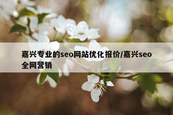 嘉兴专业的seo网站优化报价/嘉兴seo全网营销
