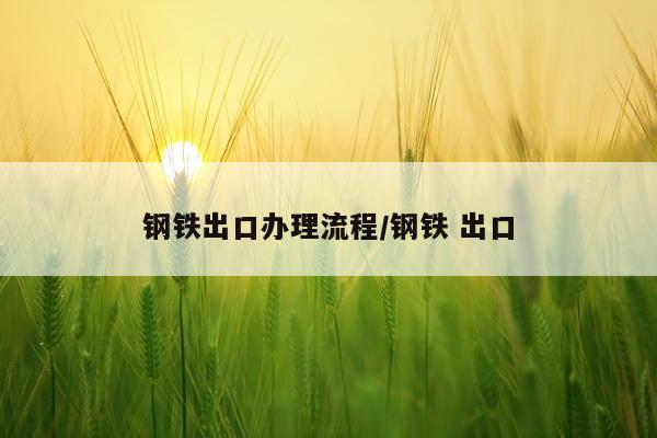 钢铁出口办理流程/钢铁 出口