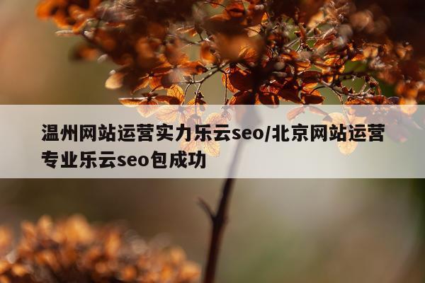 温州网站运营实力乐云seo/北京网站运营专业乐云seo包成功