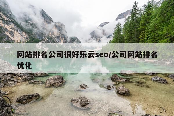 网站排名公司很好乐云seo/公司网站排名优化