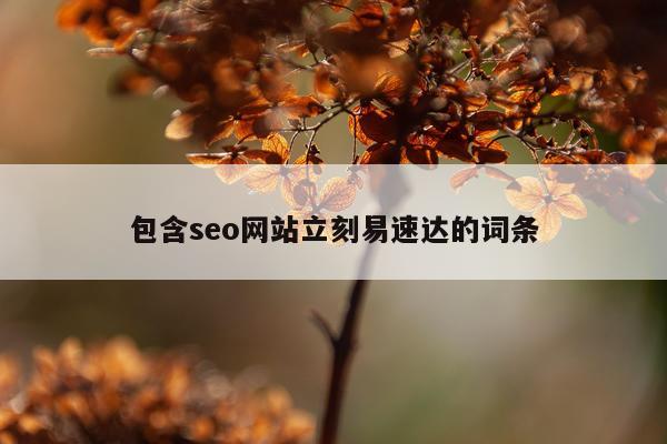 包含seo网站立刻易速达的词条