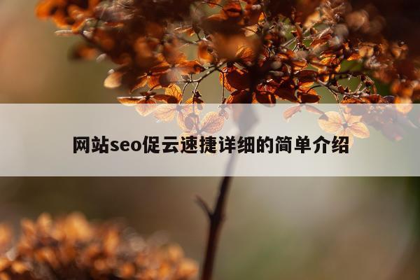网站seo促云速捷详细的简单介绍