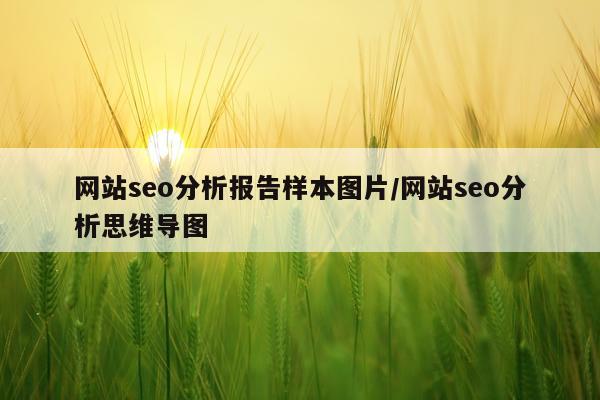网站seo分析报告样本图片/网站seo分析思维导图