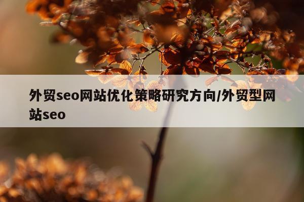 外贸seo网站优化策略研究方向/外贸型网站seo