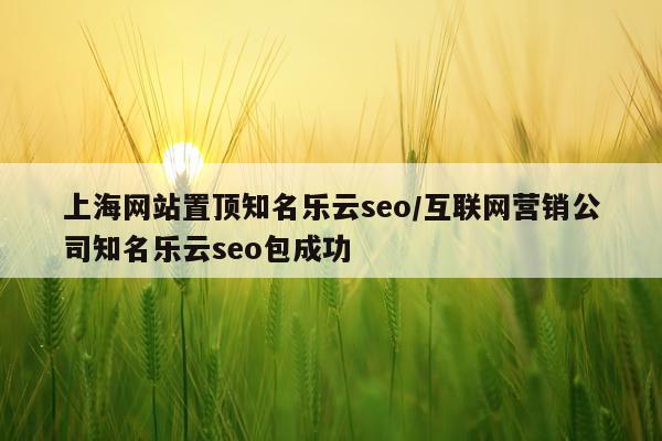 上海网站置顶知名乐云seo/互联网营销公司知名乐云seo包成功