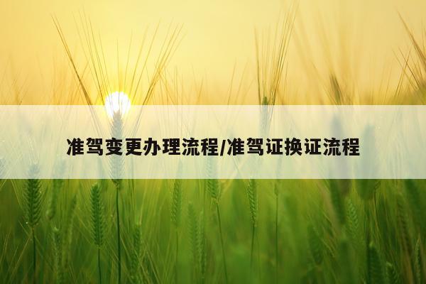 准驾变更办理流程/准驾证换证流程