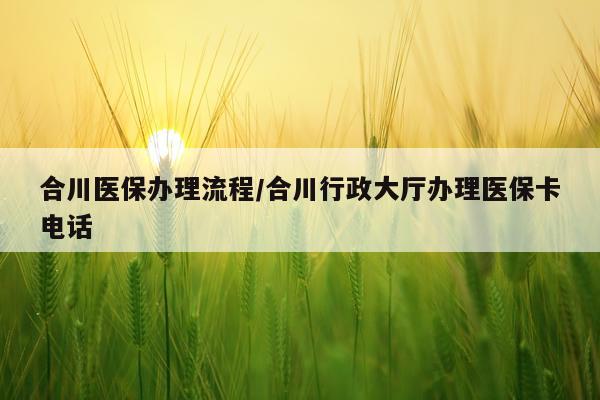 合川医保办理流程/合川行政大厅办理医保卡电话