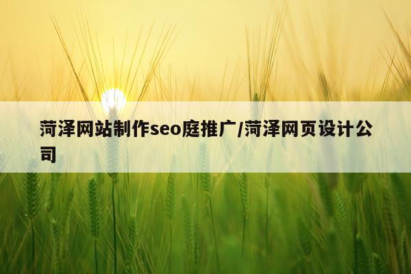 菏泽网站制作seo庭推广/菏泽网页设计公司