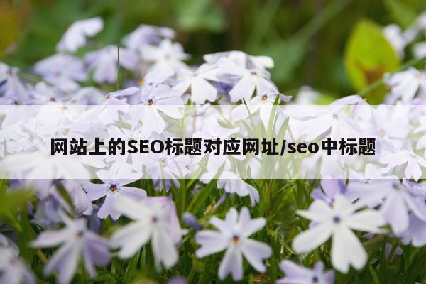 网站上的SEO标题对应网址/seo中标题