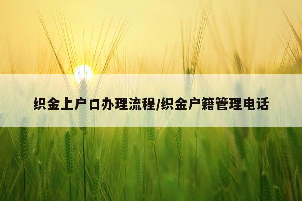 织金上户口办理流程/织金户籍管理电话